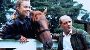 The Rogue Stallion — foto 5