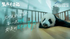 熊猫奇遇记 — foto 1
