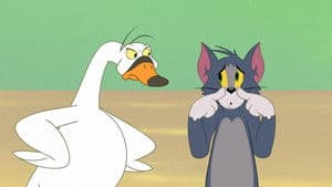 Episodio 5