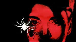 Die weiße Spinne — foto 2