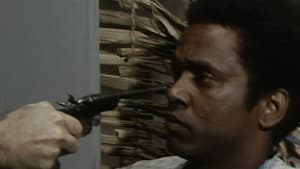 Episodio 24
