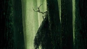 Camino hacia el terror: La Fundación — foto 3