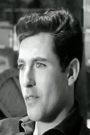Amr El Torgoman