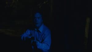 Blue Ruin — foto 4