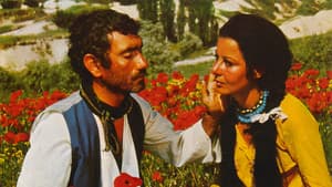 Acı — foto 1