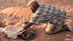The Survival of Kindness — foto 6