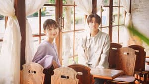 君の顔では泣けない — foto 4