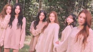 위클라우드 — foto 1