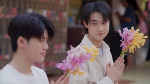 หมาน้อง — foto 4
