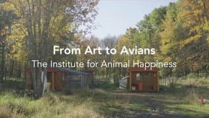 From Art to Avians — foto 1