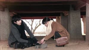 보통의 연애 — foto 1