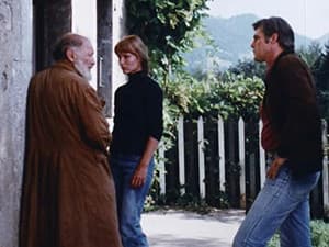 Episodio 29