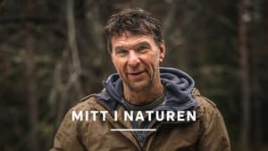 Mitt i naturen — foto 1