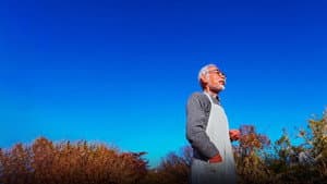 宮﨑駿と青サギと… ～「君たちはどう生きるか」への道～ — foto 1