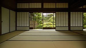 Japonsko, má láska — foto 1