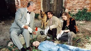 Episodio 5