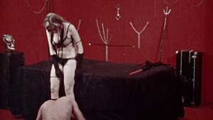 Documentary of a Madam — foto 1