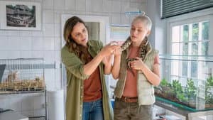 Episodio 5