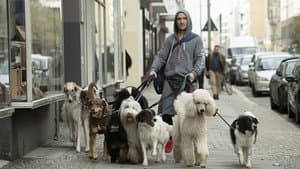 Wuff — foto 4
