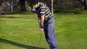 Shonky Golf — foto 1