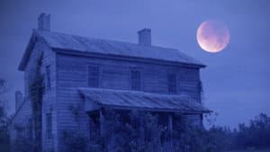 Pink Hill — foto 5