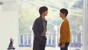 비의도적 연애담 — foto 5
