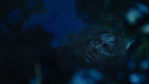 Wilderness — foto 1