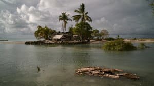 Anote's Ark — foto 11
