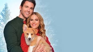 Una Navidad Con Corgi — foto 1