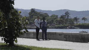 Ofori — foto 1