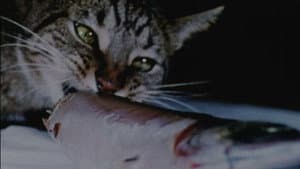 Cat Food — foto 1