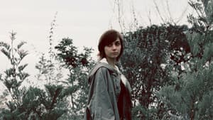Apoteose — foto 1