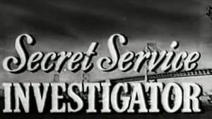 Secret Service Investigator — foto 4
