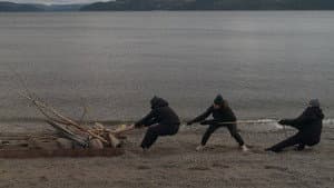 Episodio 7