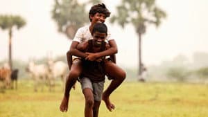 வாழை — foto 4