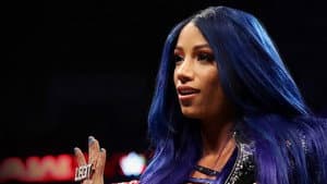 WWE Chronicle — foto 3