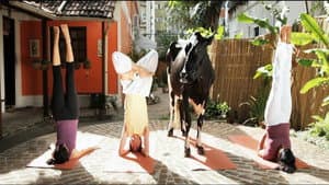 Animal Político — foto 1