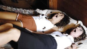 La cabaña maldita — foto 1
