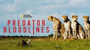 Predator Bloodlines — foto 4