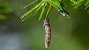 Secrets of Our Living Planet — foto 4