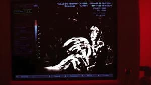 Carcamal — foto 2