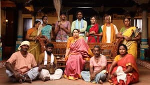 స్కైలాబ్ — foto 4