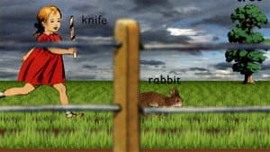 Rabbit — foto 1