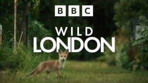 Wild London — foto 2