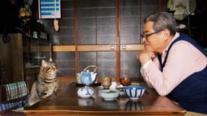 ねことじいちゃん — foto 4