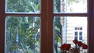 Os Encontros — foto 4