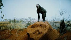 Havemos de Voltar — foto 1