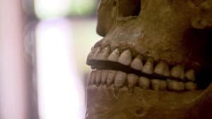 Pompeii: The Mystery of the People Frozen in Time — foto 3