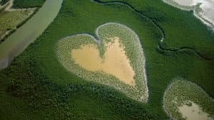 Nature : pour une réconciliation — foto 7