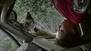 Flipped — foto 2